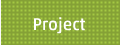 Project