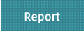 Report