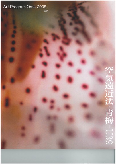 アートプログラム青梅2008　空気遠近法・青梅-U39